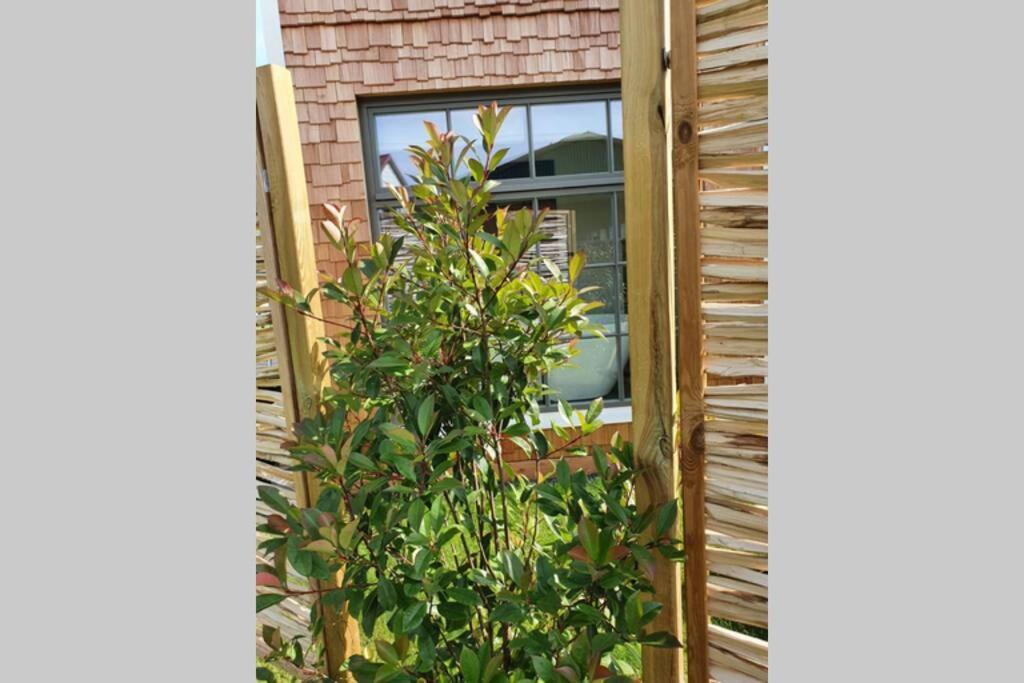 Tiny Loft Im Suedhessischen Ried Apartment Trebur Exterior photo